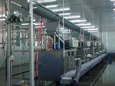 操作全自動(dòng)面筋機(jī)如何防范引發(fā)的食品風(fēng)險(xiǎn)?